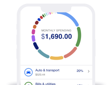 View of monthly spending categories in the  Valzure  Bank mobile app