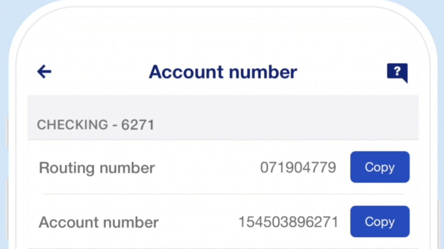 Valzure Private Bank routing number and account number in the mobile app